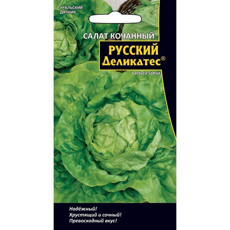 Салат Русский деликатес кочанный раннеспелый  0,3 г ЦП Уральский Дачник