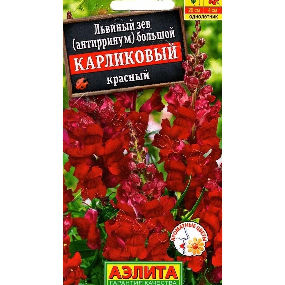 цопе 10 $ Львиный зев карликовый красный 10 шт ЦП Аэлита 00-00565384 — купить в  Вологде в СтройОптТорг: выбирайте в каталоге с ценами, характеристиками,  фото.