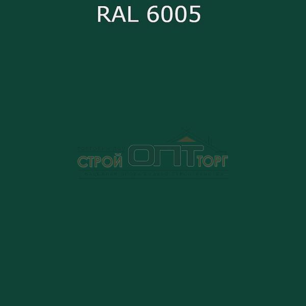 Воронка выпускная 100мм PE RAL 6005 (Вегасток)